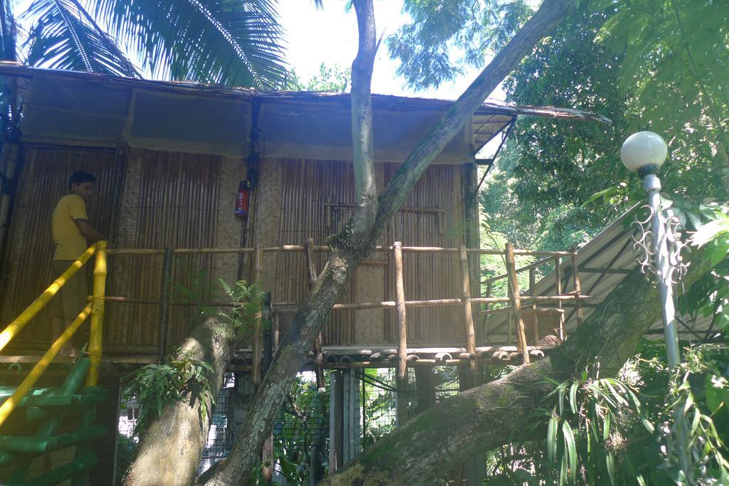 Hilltop Lodge غاواهاتي المظهر الخارجي الصورة