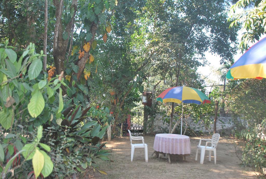 Hilltop Lodge غاواهاتي المظهر الخارجي الصورة